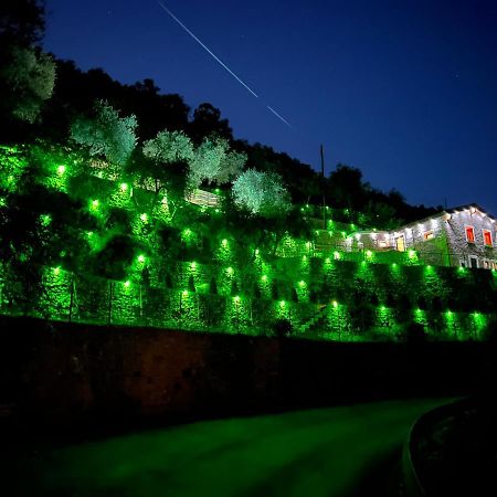 Villa Di Campagna Con Vista Mare 5 Camere Da Letto Pampara エクステリア 写真