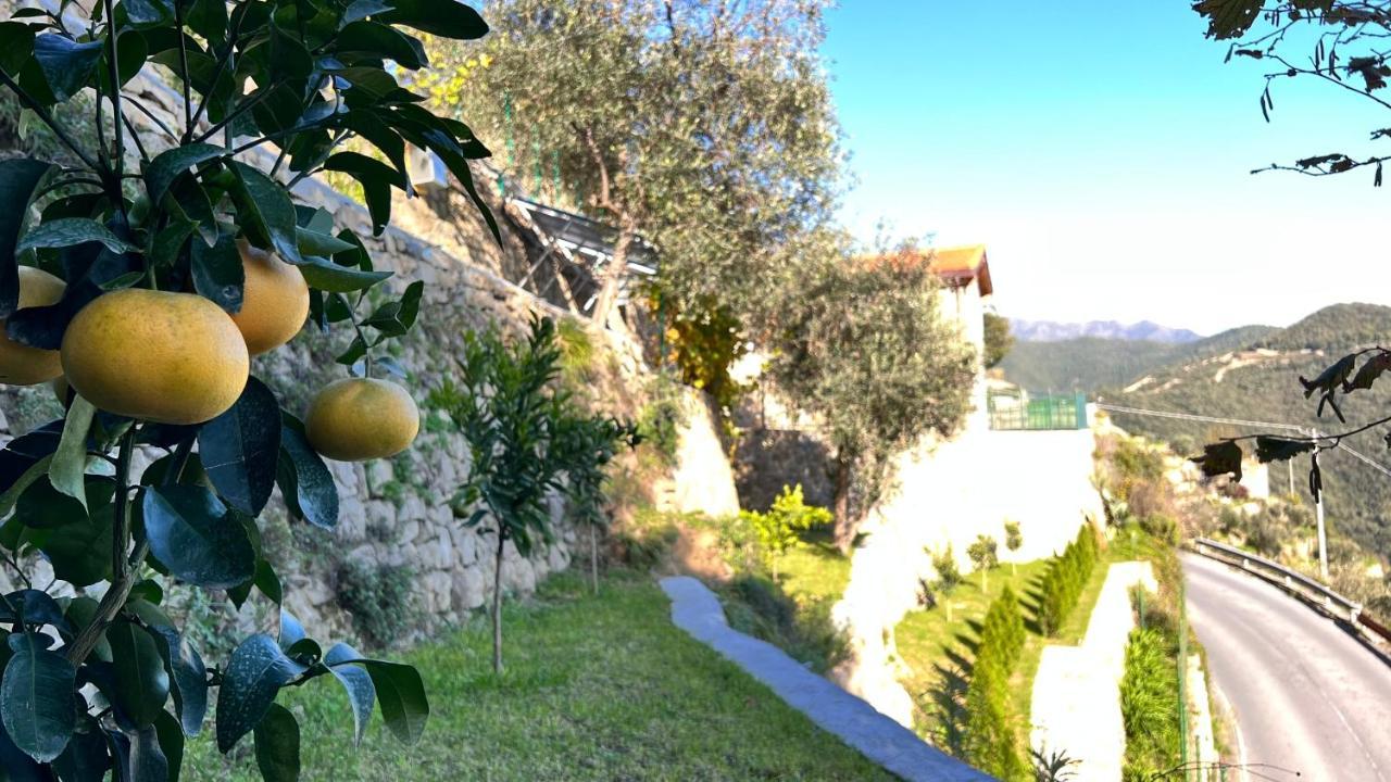Villa Di Campagna Con Vista Mare 5 Camere Da Letto Pampara エクステリア 写真
