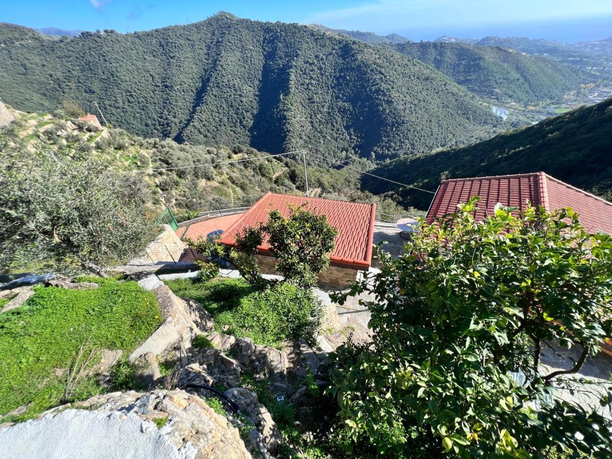 Villa Di Campagna Con Vista Mare 5 Camere Da Letto Pampara エクステリア 写真