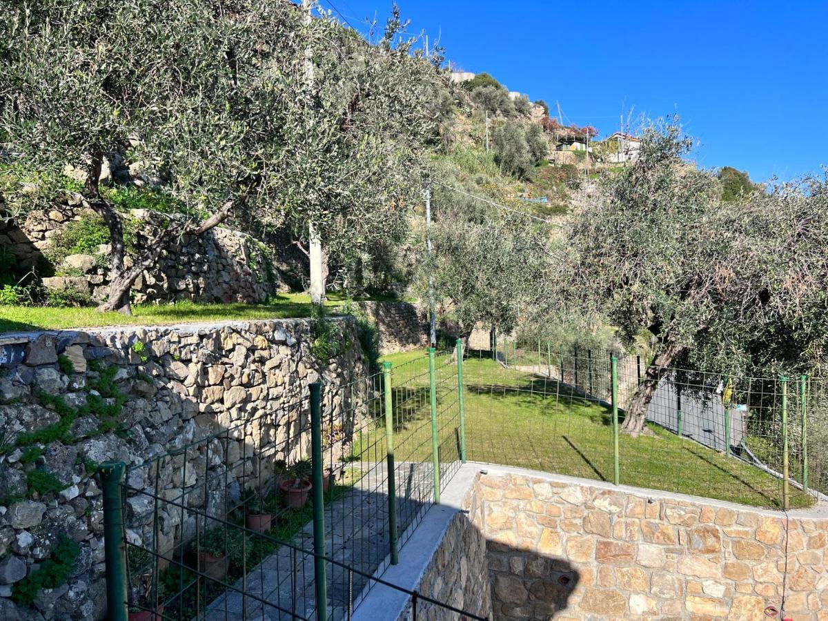Villa Di Campagna Con Vista Mare 5 Camere Da Letto Pampara エクステリア 写真
