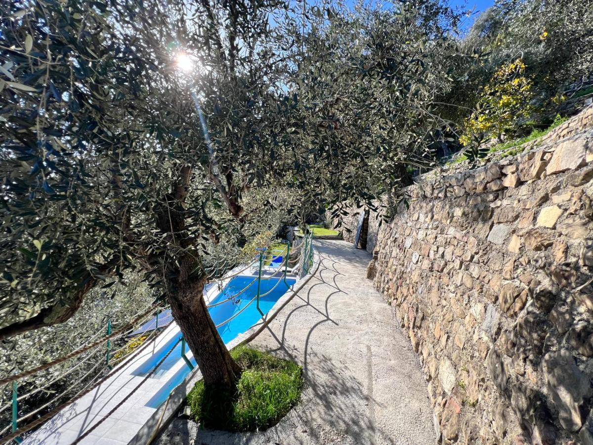 Villa Di Campagna Con Vista Mare 5 Camere Da Letto Pampara エクステリア 写真