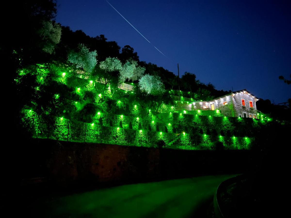 Villa Di Campagna Con Vista Mare 5 Camere Da Letto Pampara エクステリア 写真
